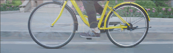 【福利】達(dá)內(nèi)教育&ofo小黃車帶你飛