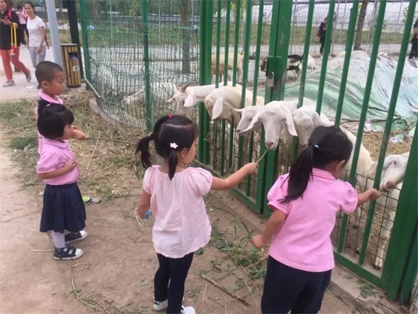 限量搶定 | 北京童程童美精彩植樹主題活動(dòng)招募中！更有免費(fèi)名額等你來！