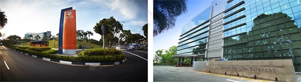 在新加坡南洋理工學習雙語編程，給孩子一個不一樣的寒假！ 