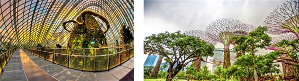 在新加坡南洋理工學習雙語編程，給孩子一個不一樣的寒假！ 