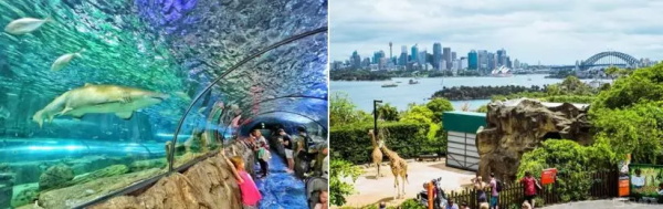 來大洋彼岸，做小小發(fā)明家 —2019澳洲機器人創(chuàng)新科技親子營報名在即