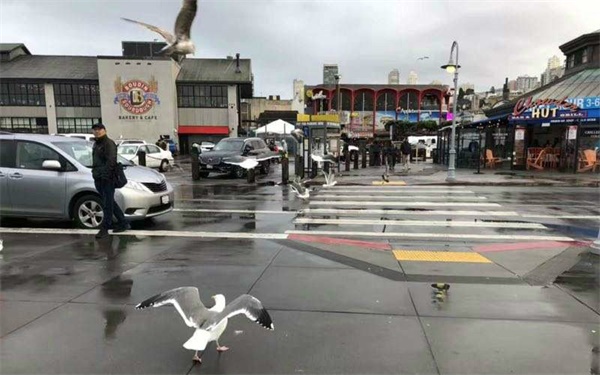 成長(zhǎng)記 | 10歲的我在美國(guó)斯坦福大學(xué)學(xué)習(xí)！