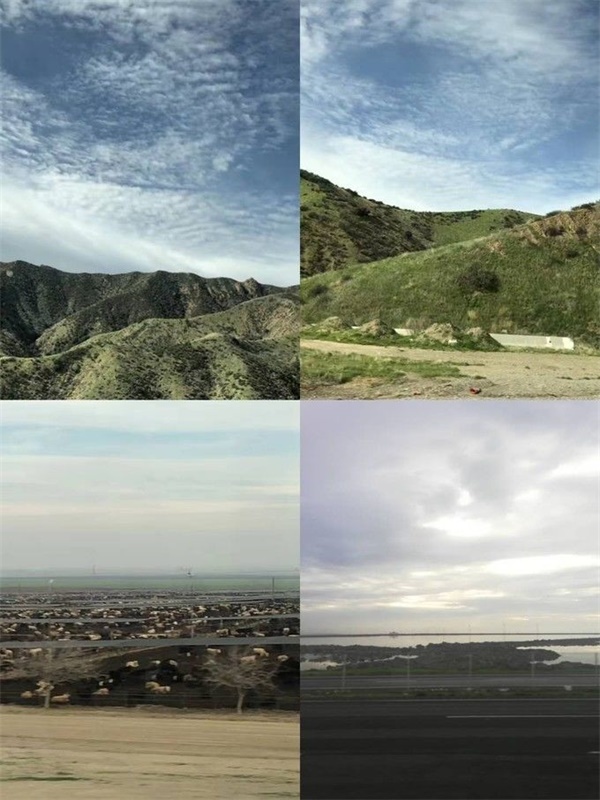 成長(zhǎng)記 | 10歲的我在美國(guó)斯坦福大學(xué)學(xué)習(xí)！