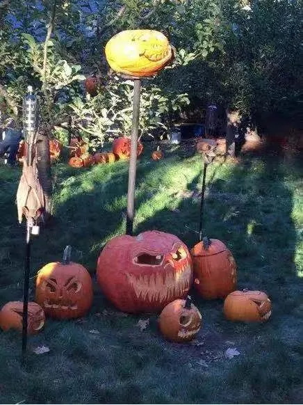 萬(wàn)圣節(jié)，去喬布斯家要糖是怎樣一種體驗(yàn)？